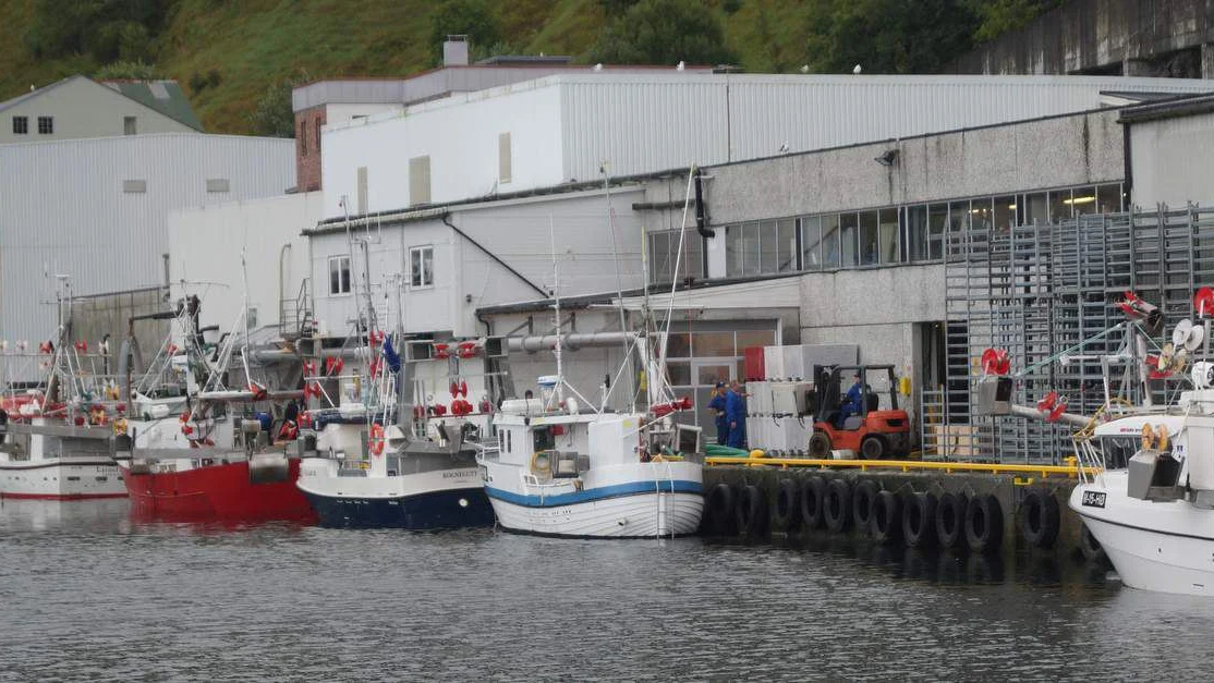 Sjarkflaaten kjem best fraa kostnadssmellen