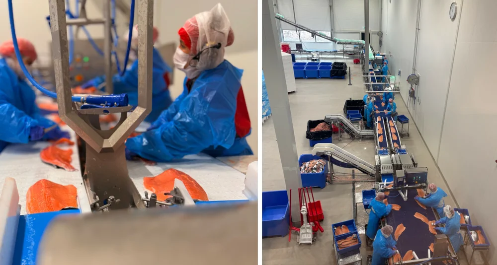 Filetfabrikken Blue Resource Group foto Filetfabrikken