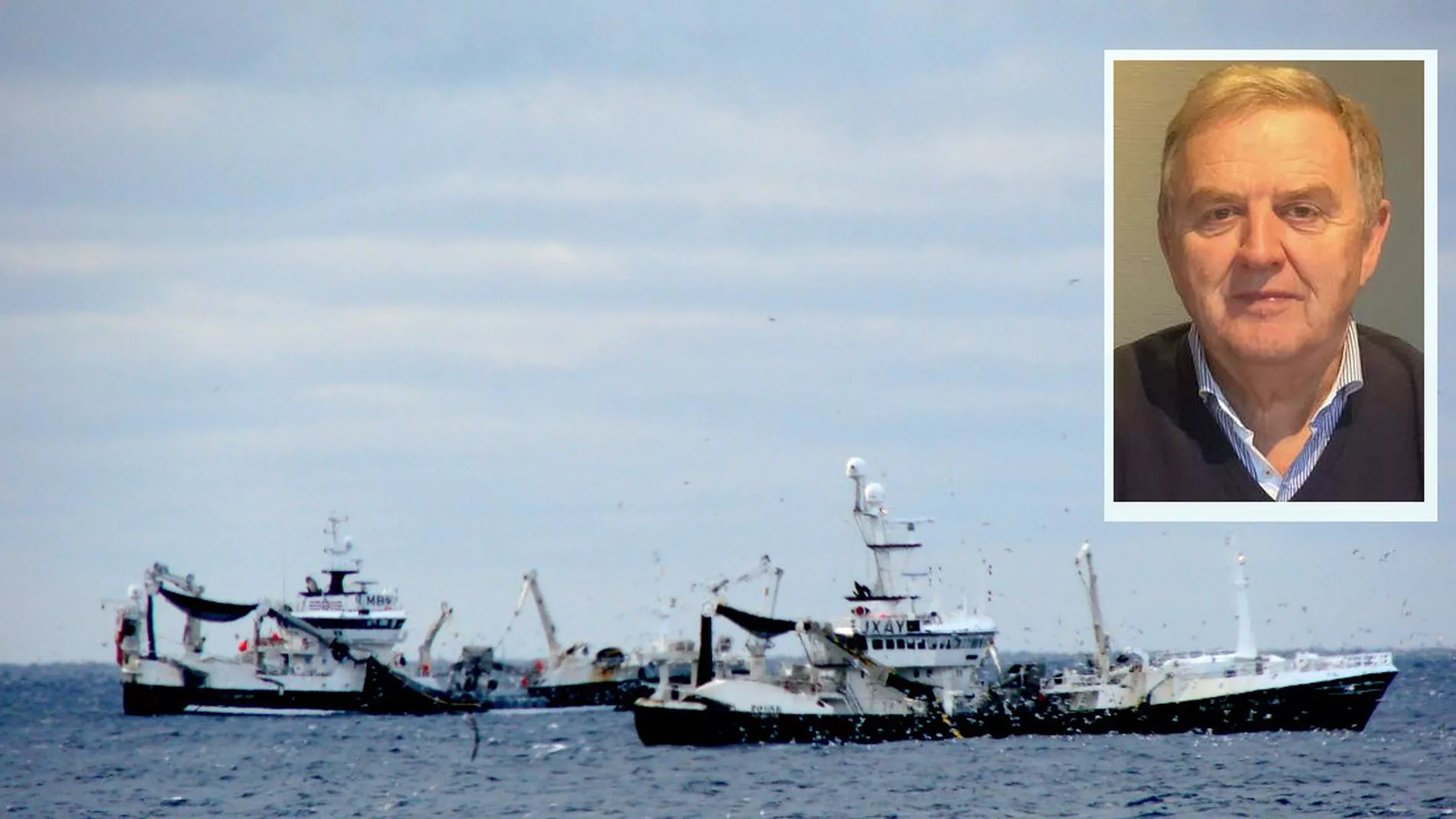 Fiskar lodde ved Island for foerste gang paa fleire aar