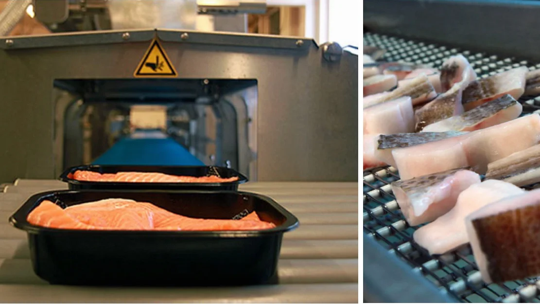 Full stopp i ti dagar