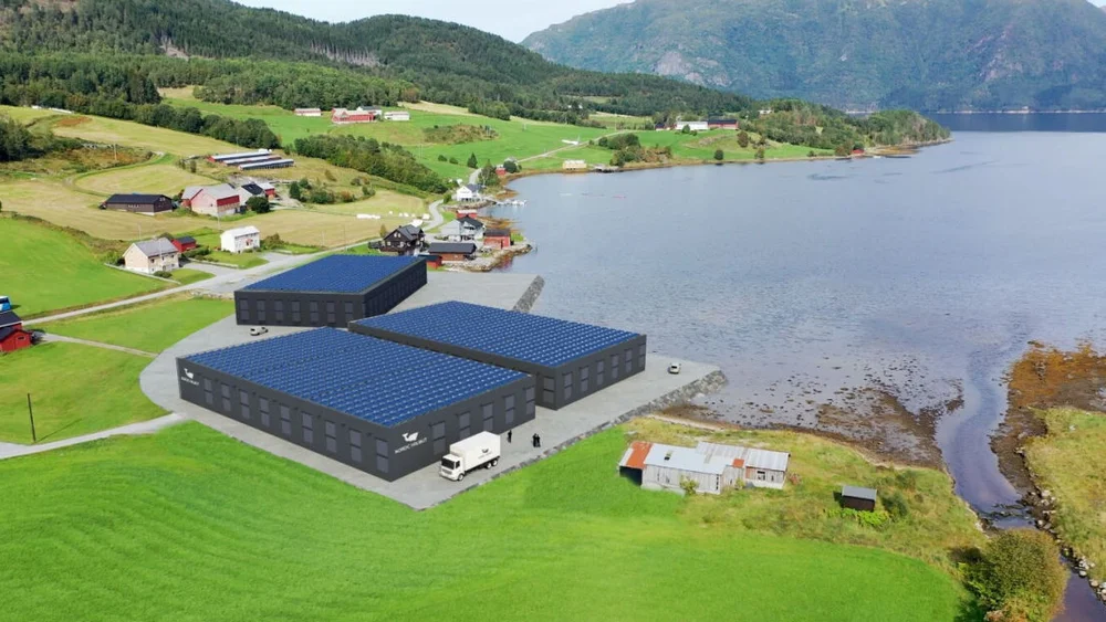 Kveiteoppdrett illustrajon Nordic Halibut Torjulvagen