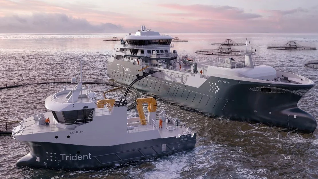 Trident bronnbat servicebat illustrasjon