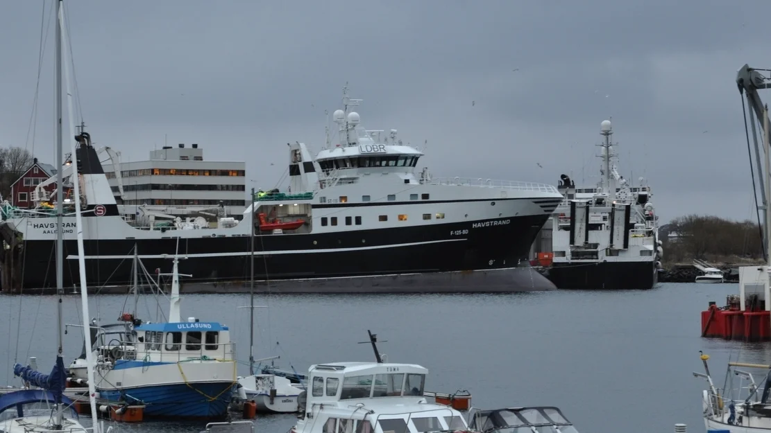 Havstrand bat foto kv