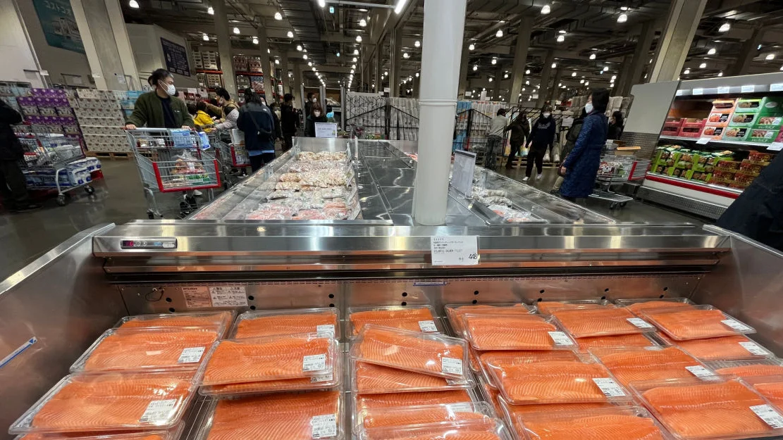 Fiskeeksport illustrasjon foto Norges Sjomatrad