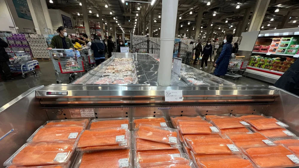 Fiskeeksport illustrasjon foto Norges Sjomatrad