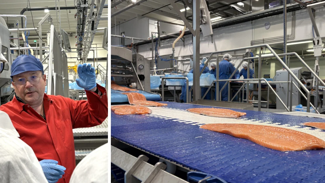 Hofseth produksjon montasje Geir Even Haberg foto Marius 1