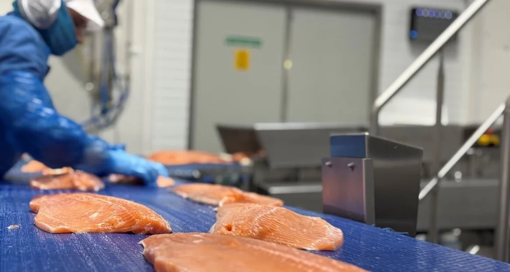 Hofseth laks foredling foto Marius 2