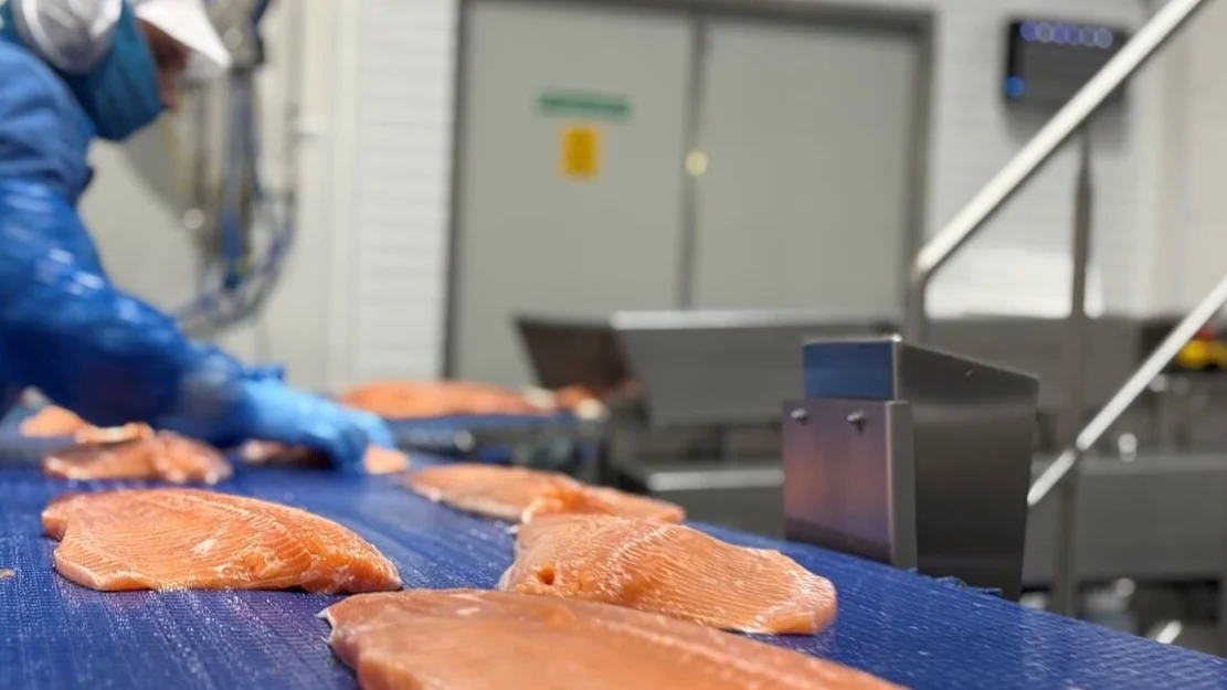 Hofseth laks foredling foto Marius 2