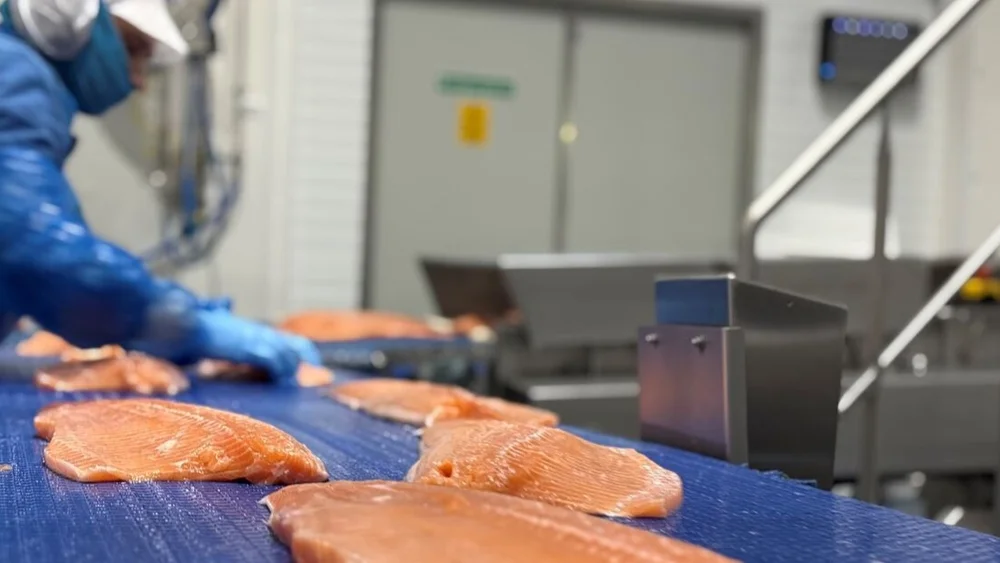 Hofseth laks foredling foto Marius 2