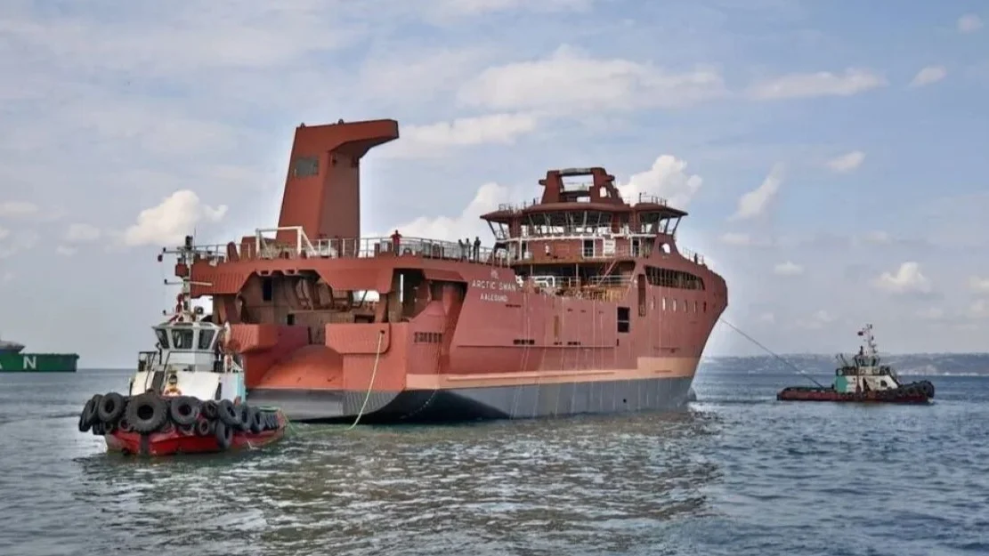 Arctic Swan foto Cemre