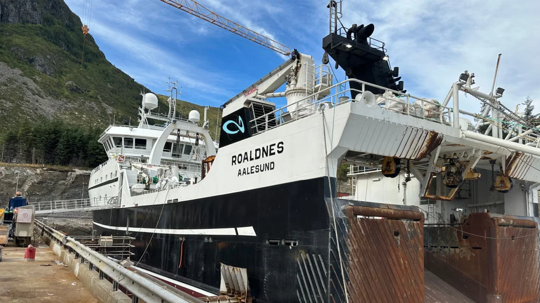 H Avbryn Roaldsnes foto Nordic Wildfish Holding