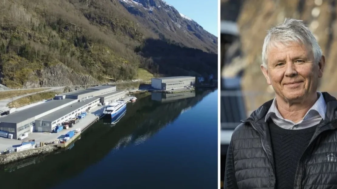 Tor oivind aa montasje hyen foto brodrene aa