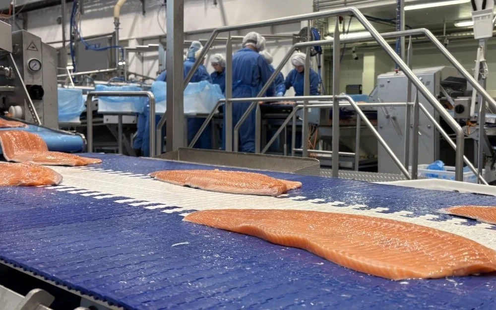 Hofseth laks foredling foto Marius 3