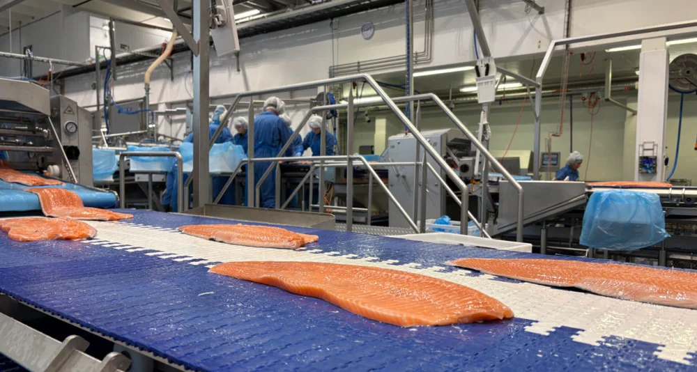 Laks Hofseth foto Marius 2 1