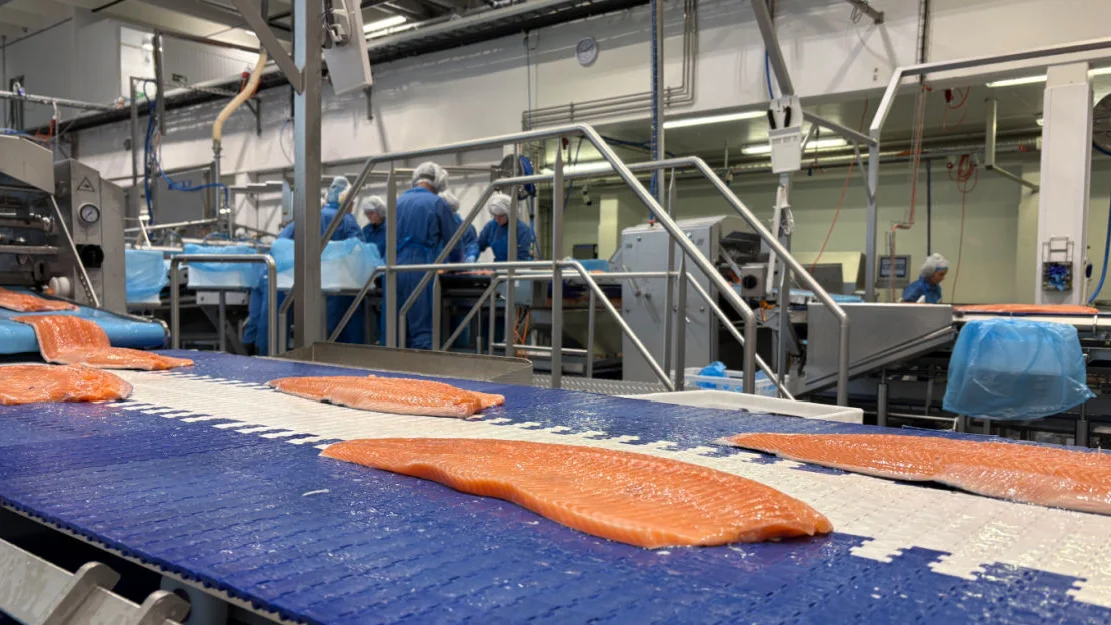 Laks Hofseth foto Marius 2 1