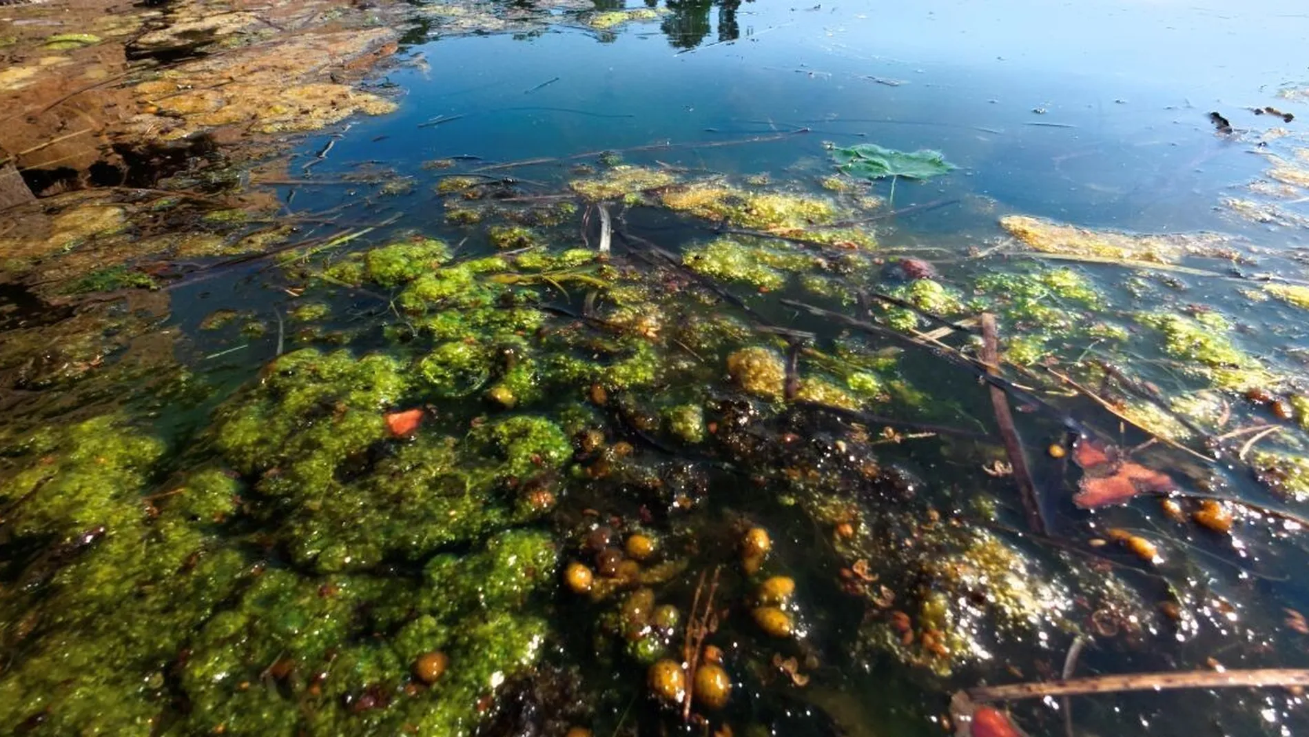 Sjo IKKE GJENBRUK FOTO NPK