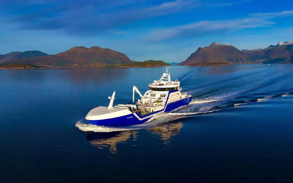 Ro spirit foto Rostein