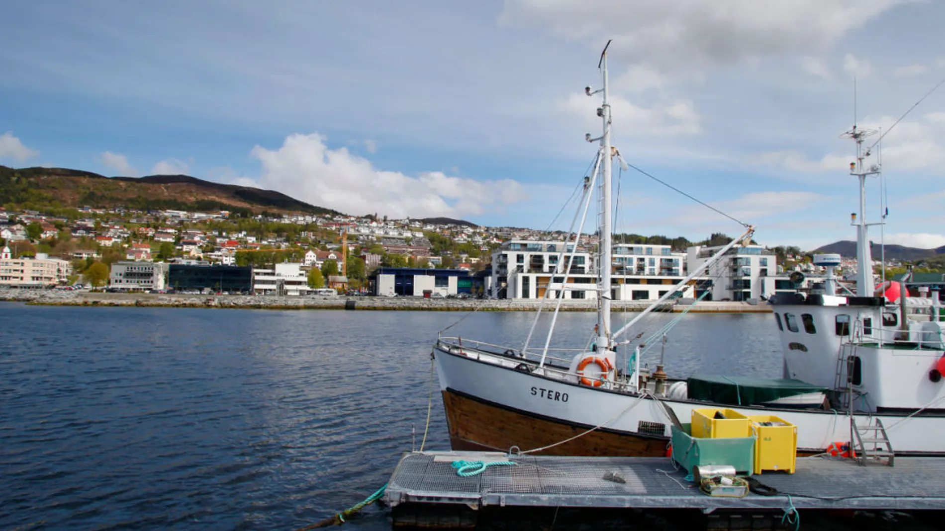 Bilde uvik illustrasjo