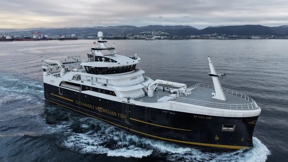 Nye Leinebris foto Leinebris