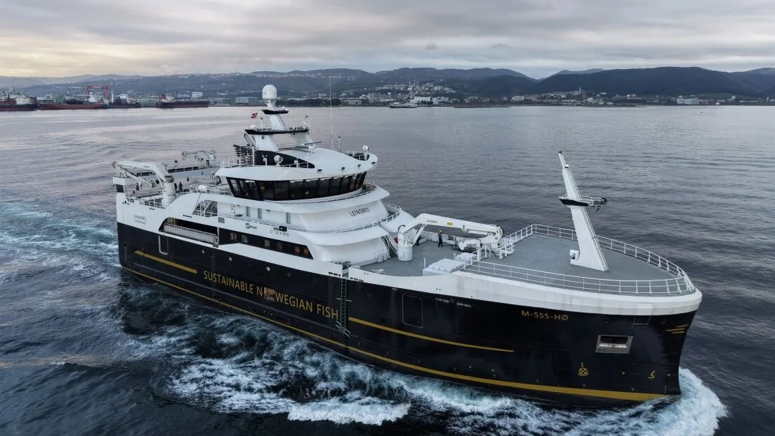 Nye Leinebris foto Leinebris