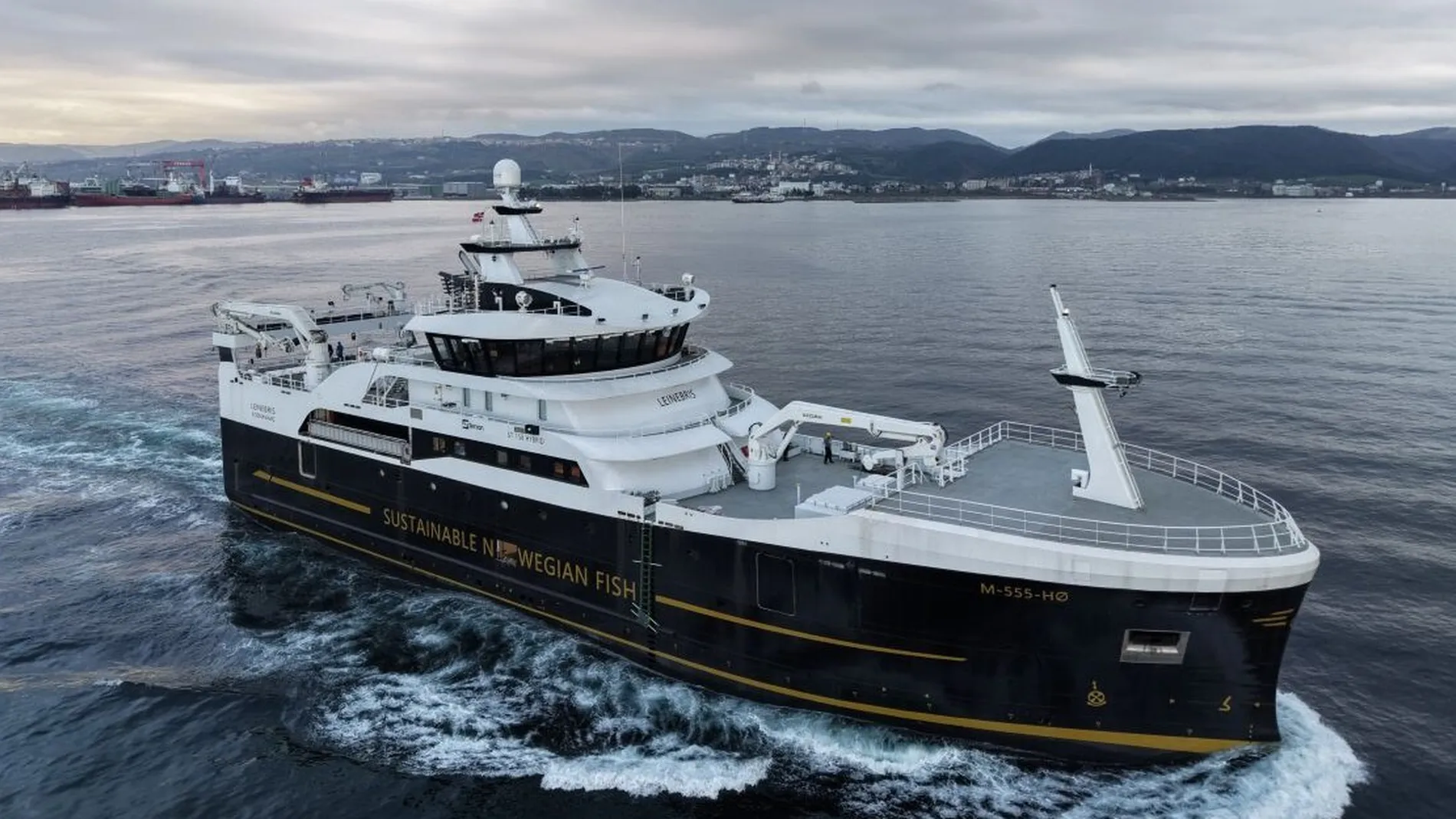 Nye Leinebris foto Leinebris