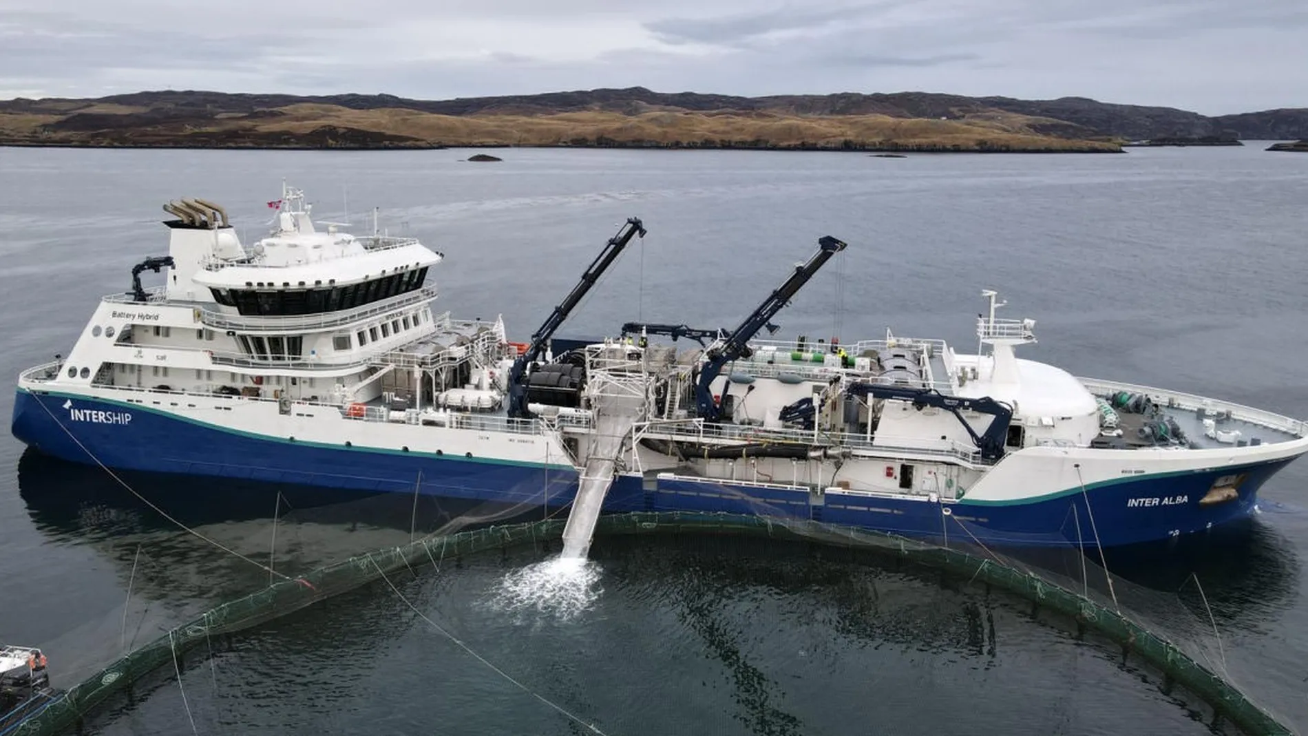 Inter Alba Bronnbat Trident foto Trident