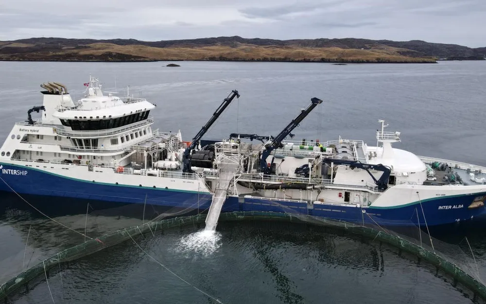 Inter Alba Bronnbat Trident foto Trident