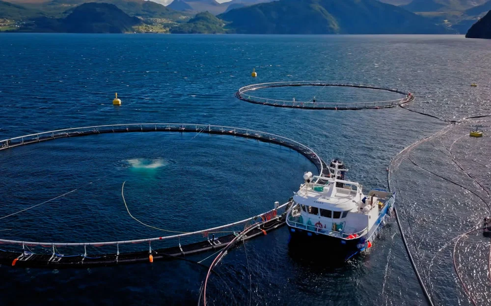 Foto Fuglefjellet 2 1