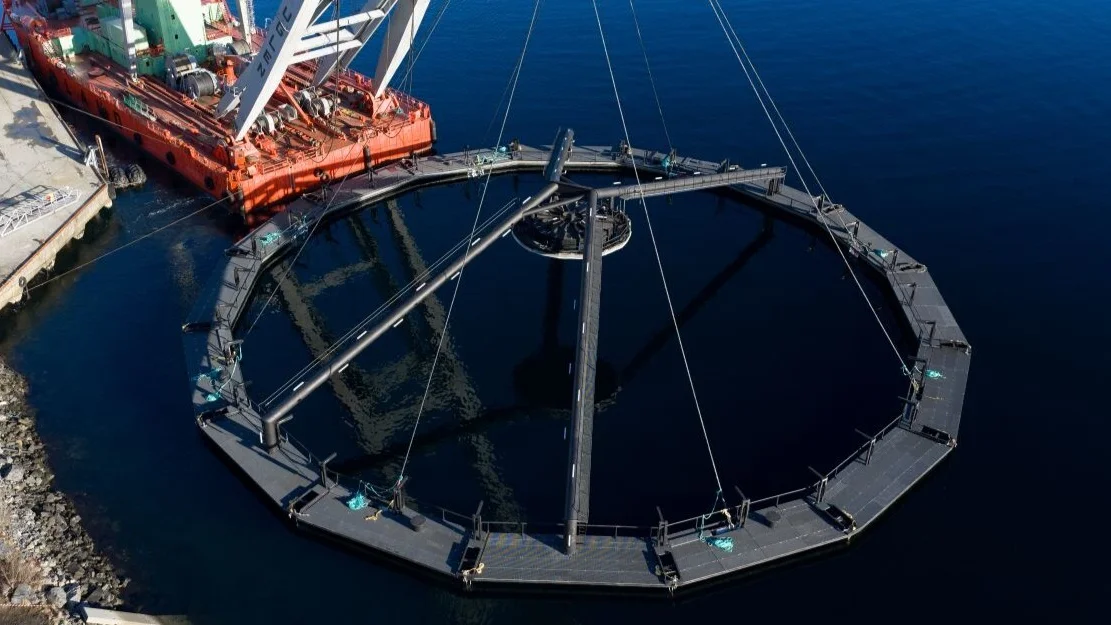 Havlilje Hofseth 11 foto Hofseth