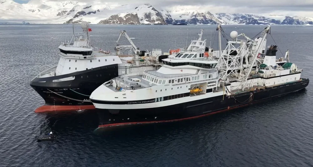 Antarctic Provider Aantarctic Endurance foto Aker qrill company
