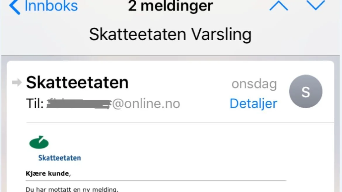 Skattemelding skjermfoto IKKE GJENBRUK