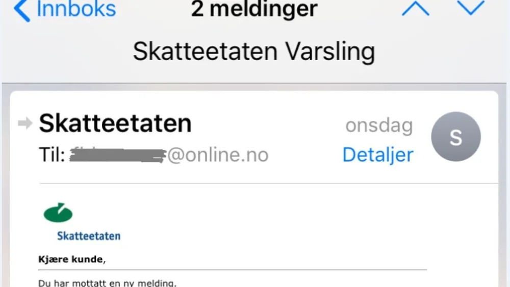 Skattemelding skjermfoto IKKE GJENBRUK