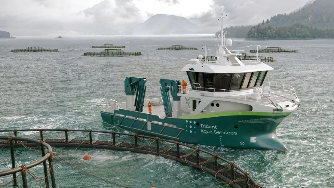 T Rident Servicebat Illustration Solstrand Trading