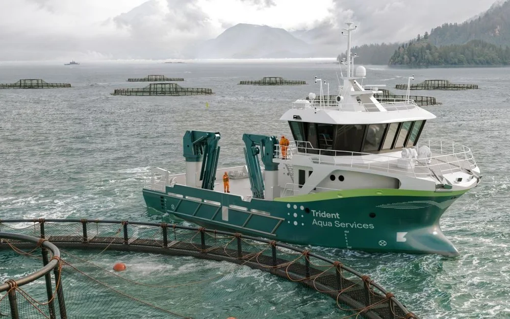 T Rident Servicebat Illustration Solstrand Trading