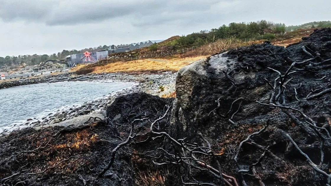 Terrengbrann Tueneset foto Kjetil Aarseth