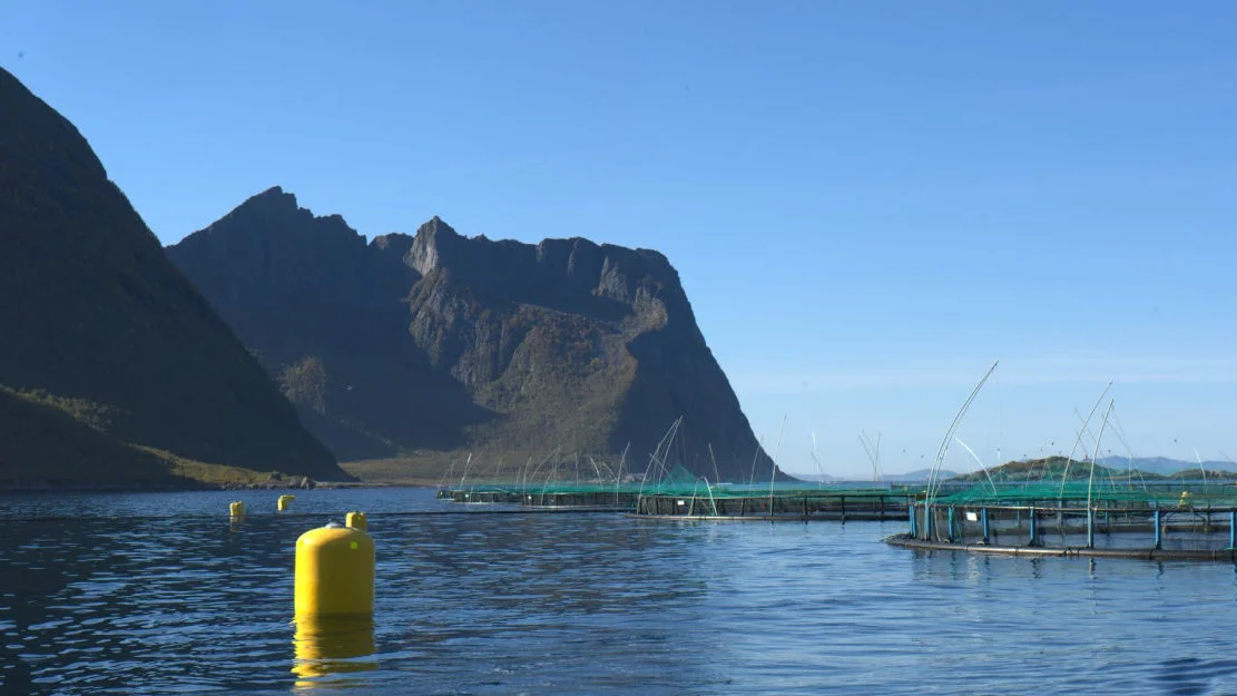 Havbruksanlegg 1 foto S Jomat Norge