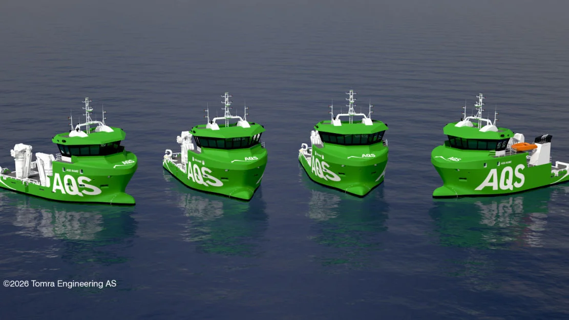 Fire batar til Salthammer 1