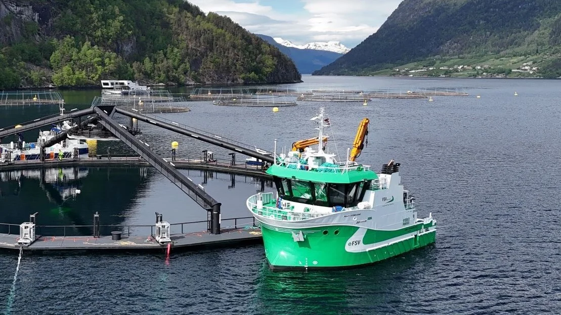 Multi Storfjord foto Trident Aqua Services