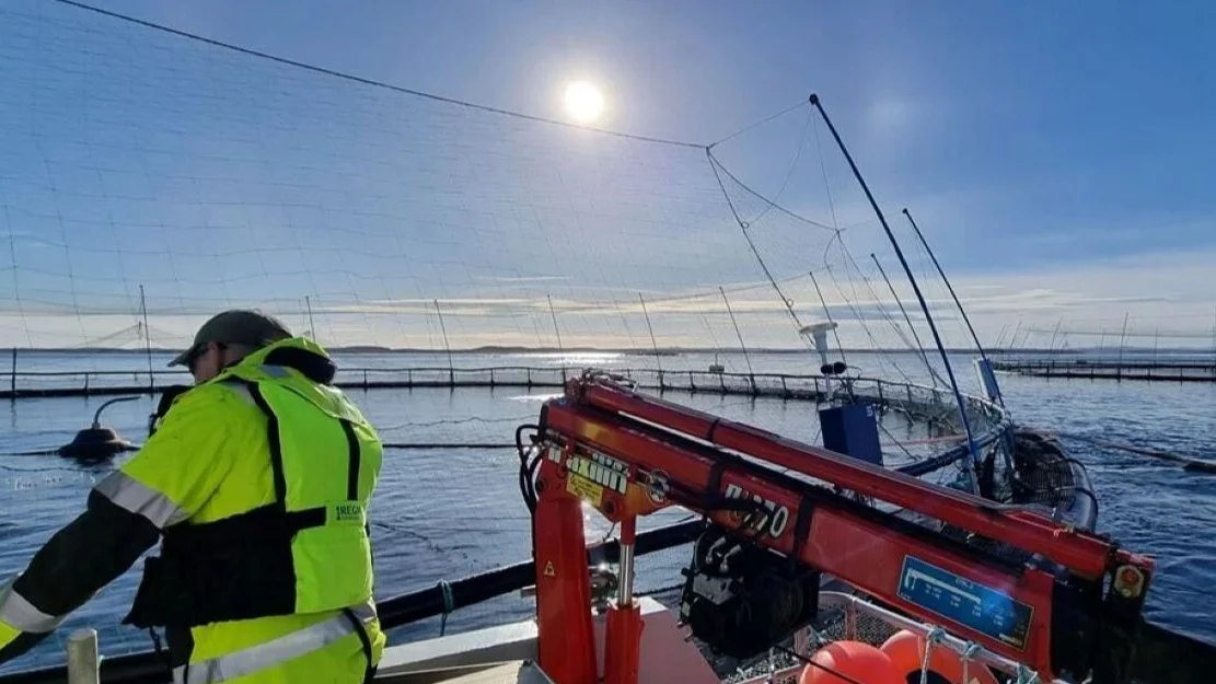 Havbruk oppdrett foto sintef ocean