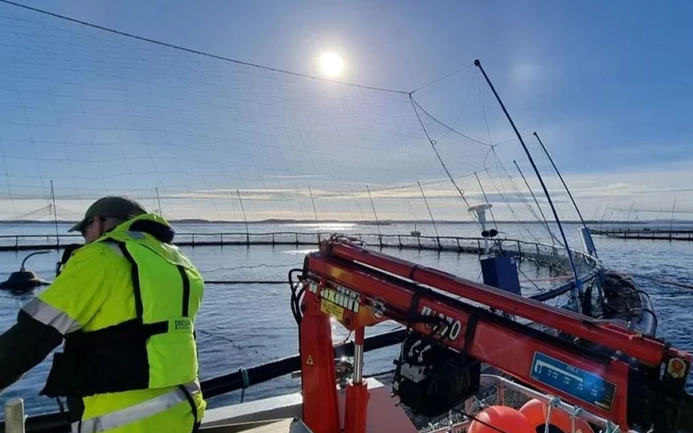 Havbruk oppdrett foto sintef ocean