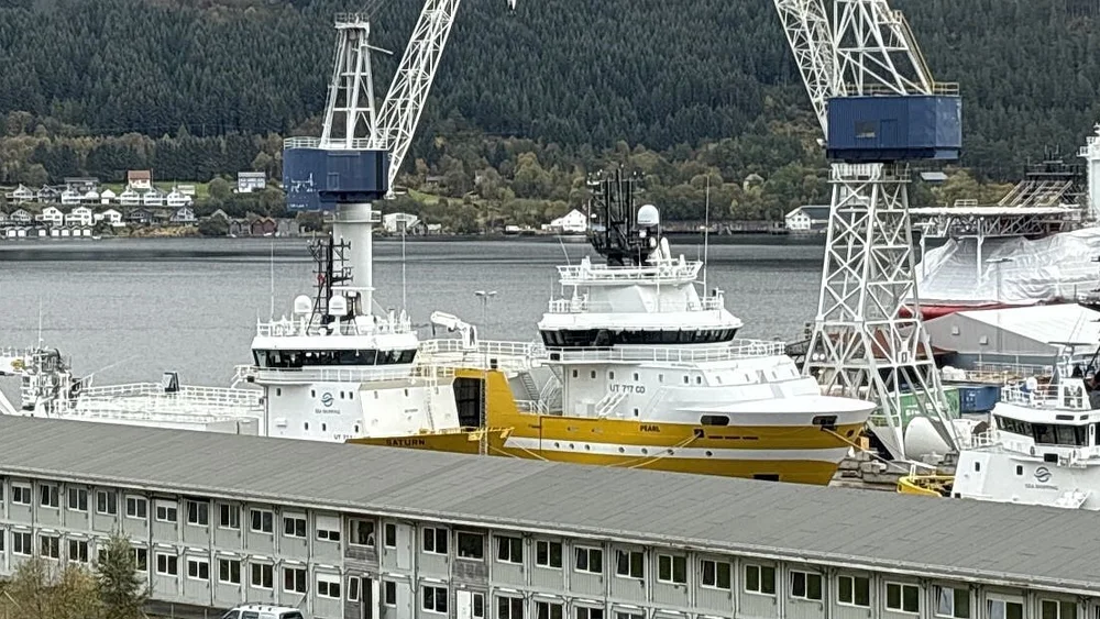 MS Pearl ava sea shipping green yard foto Marius