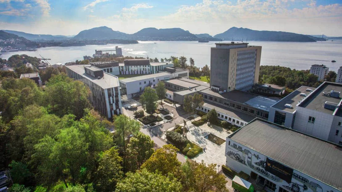 Fagleg svakt fraa NHO