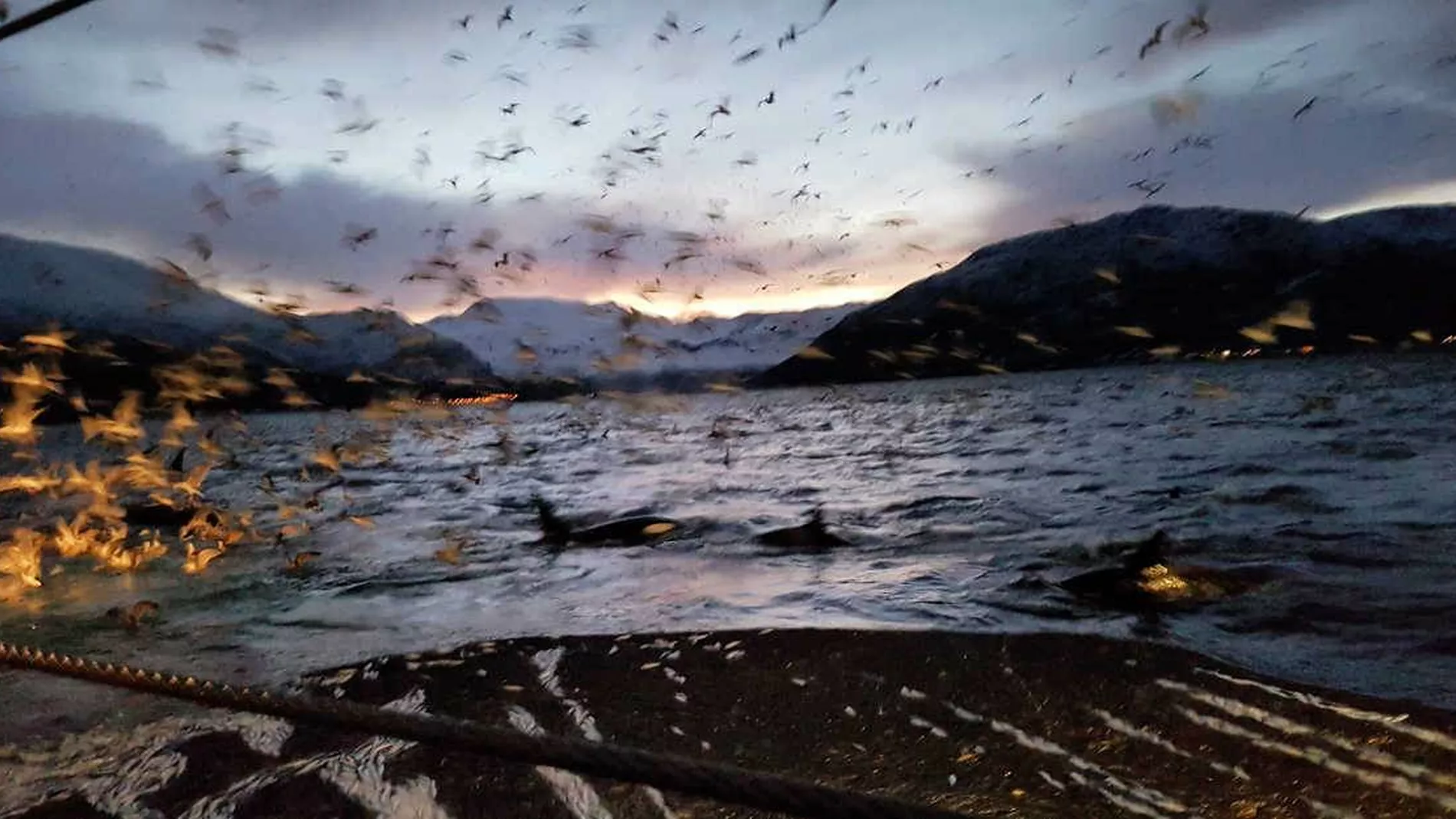 Norsk fiskerinaering og arbeidsplassar paa kysten vert sett i spel