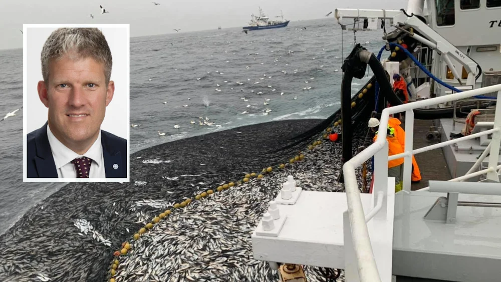 Sild innfelt finn arne egeness foto ms tunfisk 11