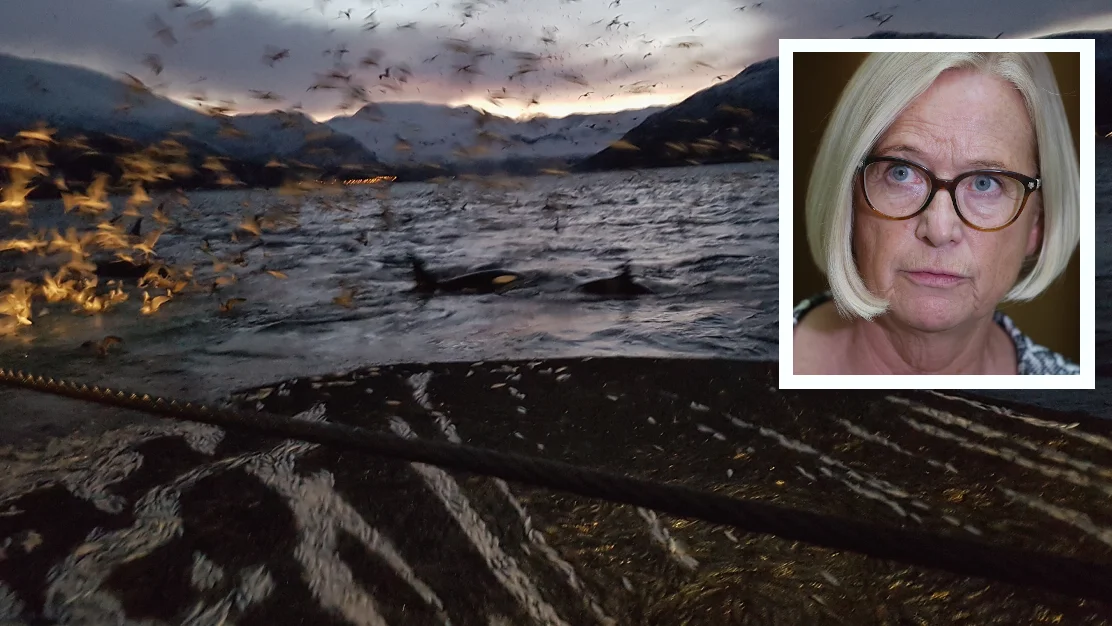 Fiskeri infelt marit arnstad foto bernt brandal ntb npk 11