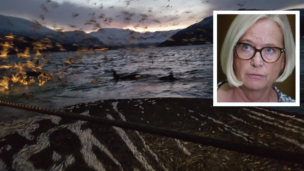 Fiskeri infelt marit arnstad foto bernt brandal ntb npk 11