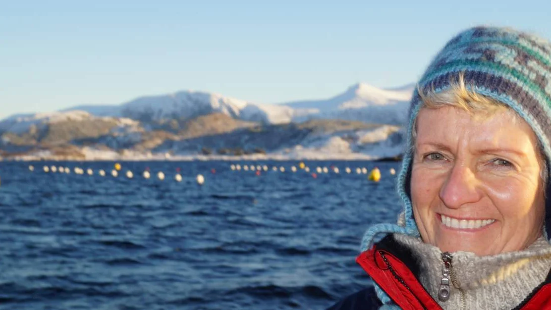 Annelise Chapman tare