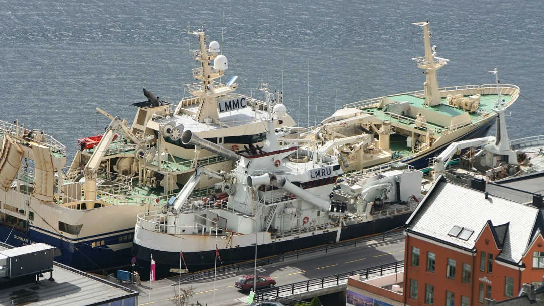 Fishing boats Ålesund 1 Gunnar Langva 2015 foto Wikimedia Commons