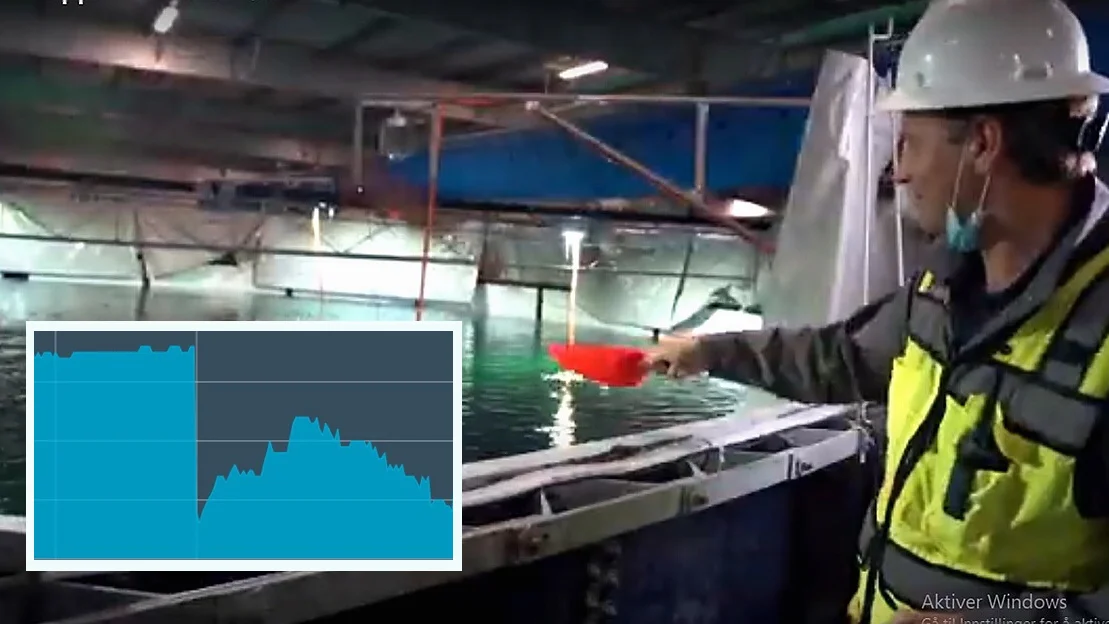 Atlantic sapphire innfelt aksjekurs foto atlantic sapphire 22