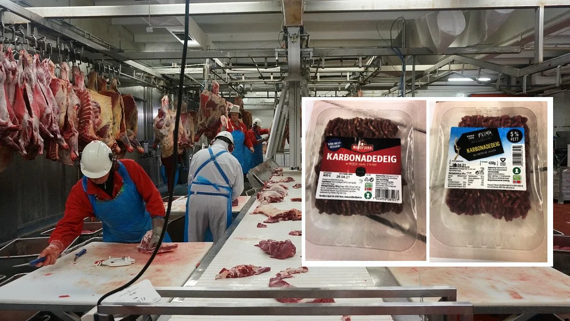 Nordfjord kjøtt innfelt karbonadedeig foto ogne